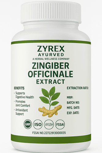 ChatGPT Image Oct 1, 2025, 12_02_50 AM