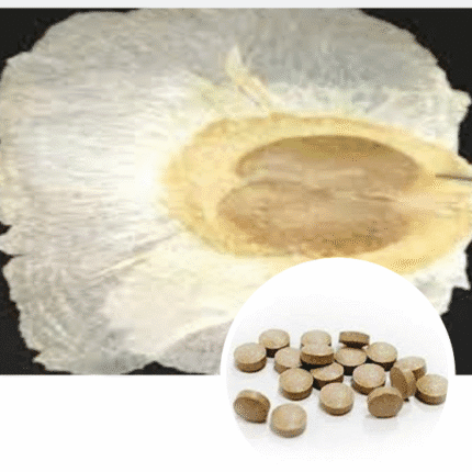 Shri Herbal Shyonak / Sona Patha / Oroxylum Indicum Seeds Extract Tablets-60 Tablets Pack.