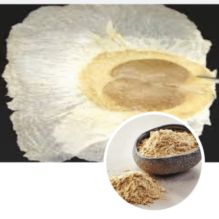 Shri Herbal Shyonak / Sona Patha / Oroxylum Indicum Seeds Extract Powder 100 Gram Pack.