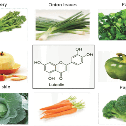 Luteolin Pack of 100 Gram