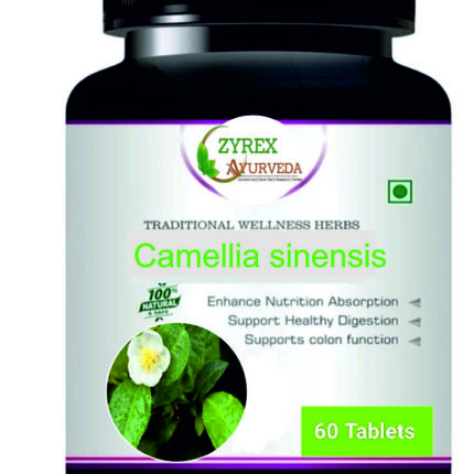 Zyrex Camellia senensis Extract Tablet Pack Of 60 Tablets