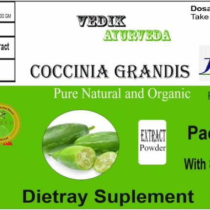 Vedik Ayurveda Coccinia Grandis Extract Powder Pack of 100 Gram