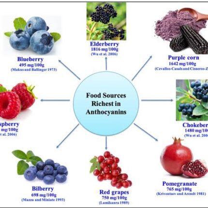 Anthocyanins Pack of 100 Gram