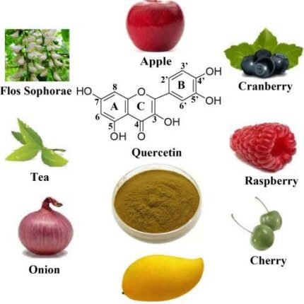 Quercetin Pack of 100 Gram