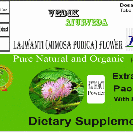 Vedik Ayurveda Lajwanti (Mimosa pudica) Flower Extract Powder Pack of 100 Gram