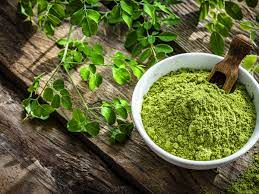 moringa.jpg