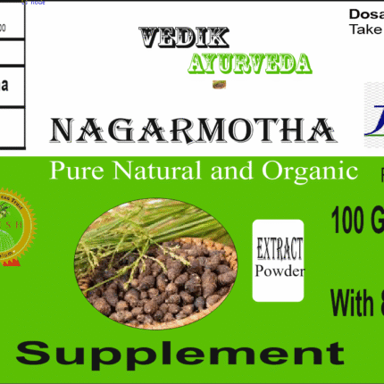 Vedik Ayurveda Nagarmotha Extract Powder Pack of 100 Gram
