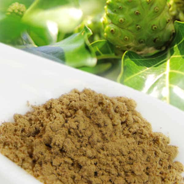noni-dry-extract-suplier.jpg