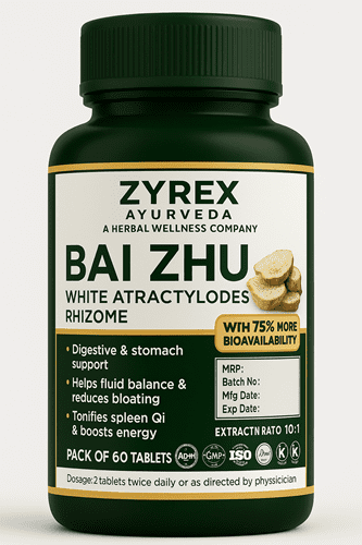 ChatGPT Image Oct 27, 2025, 12_07_49 AM